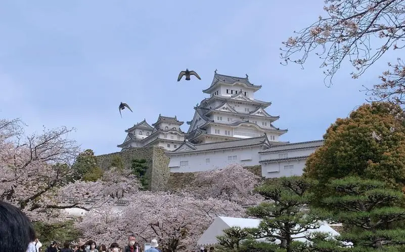 How To Visit Himeji Castle On A Day Trip From Osaka & Kyoto