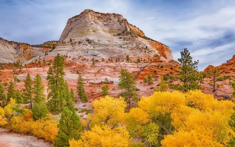 How To Hike Angels Landing In Zion National Park